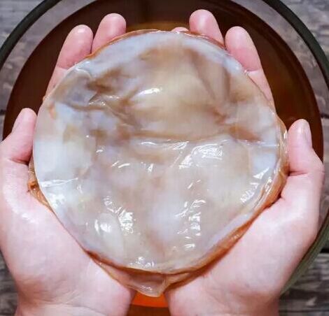 nagu sēnīte kombucha